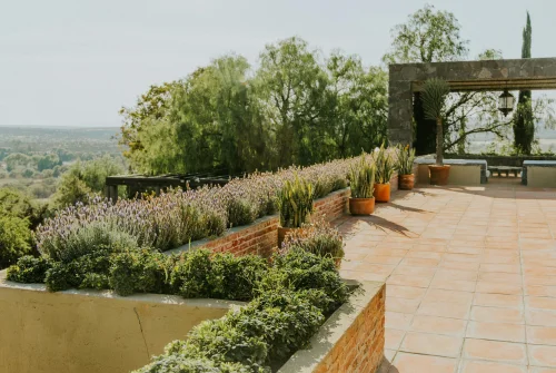 Arihant Sakshi 8 main (2)